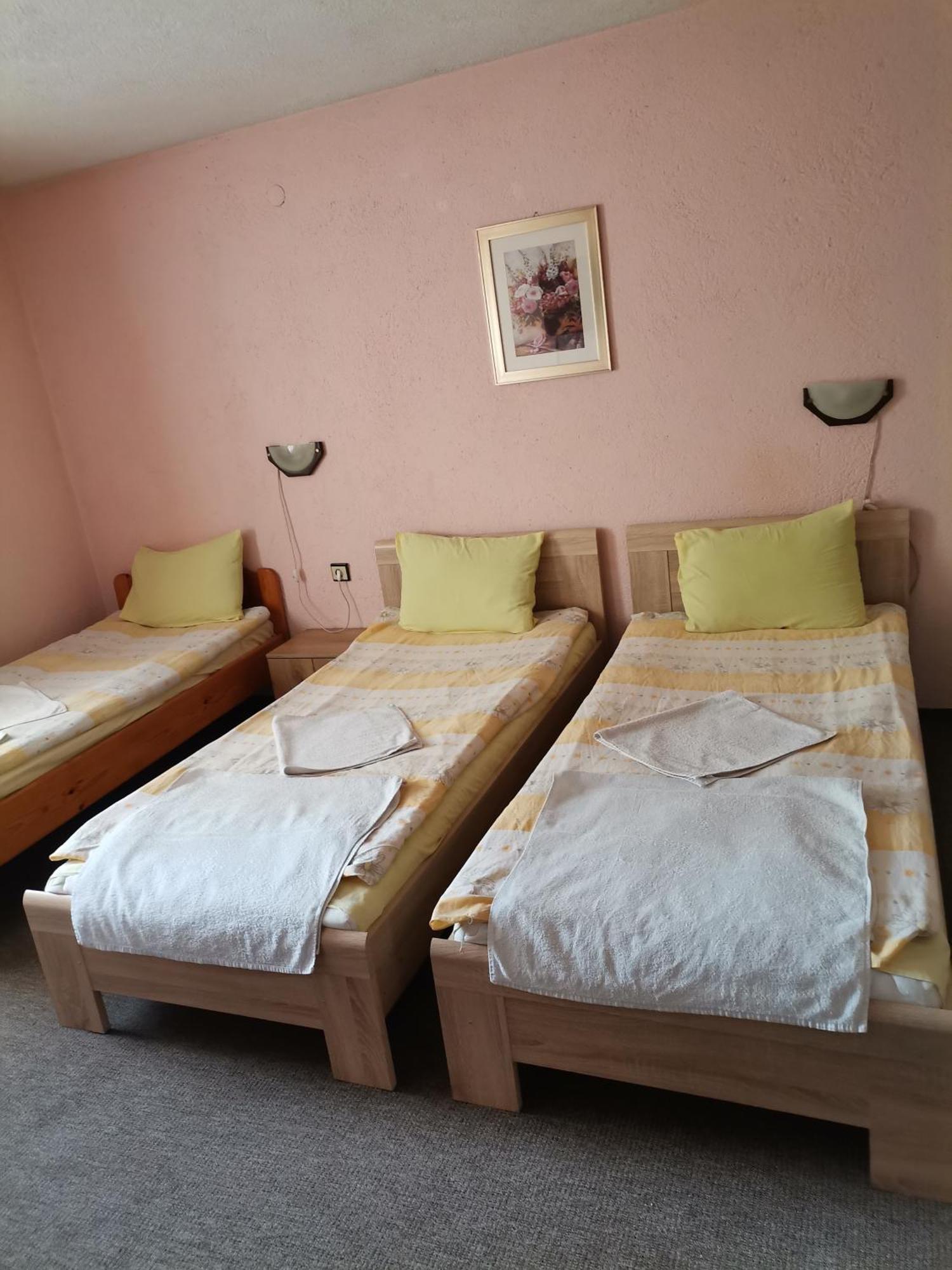 Family Hotel Santo Bansko Ngoại thất bức ảnh