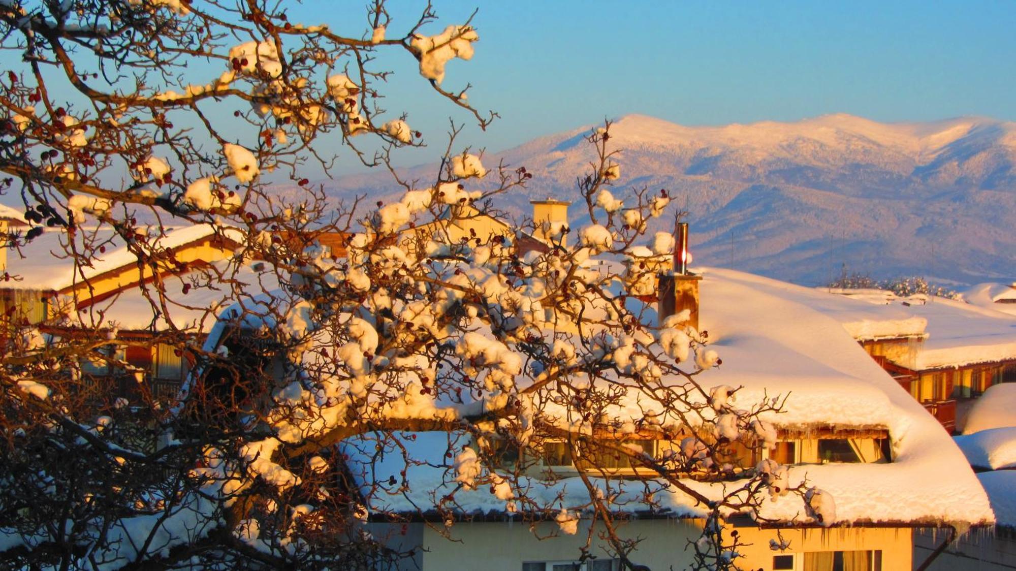 Family Hotel Santo Bansko Ngoại thất bức ảnh